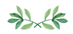 linkmarket