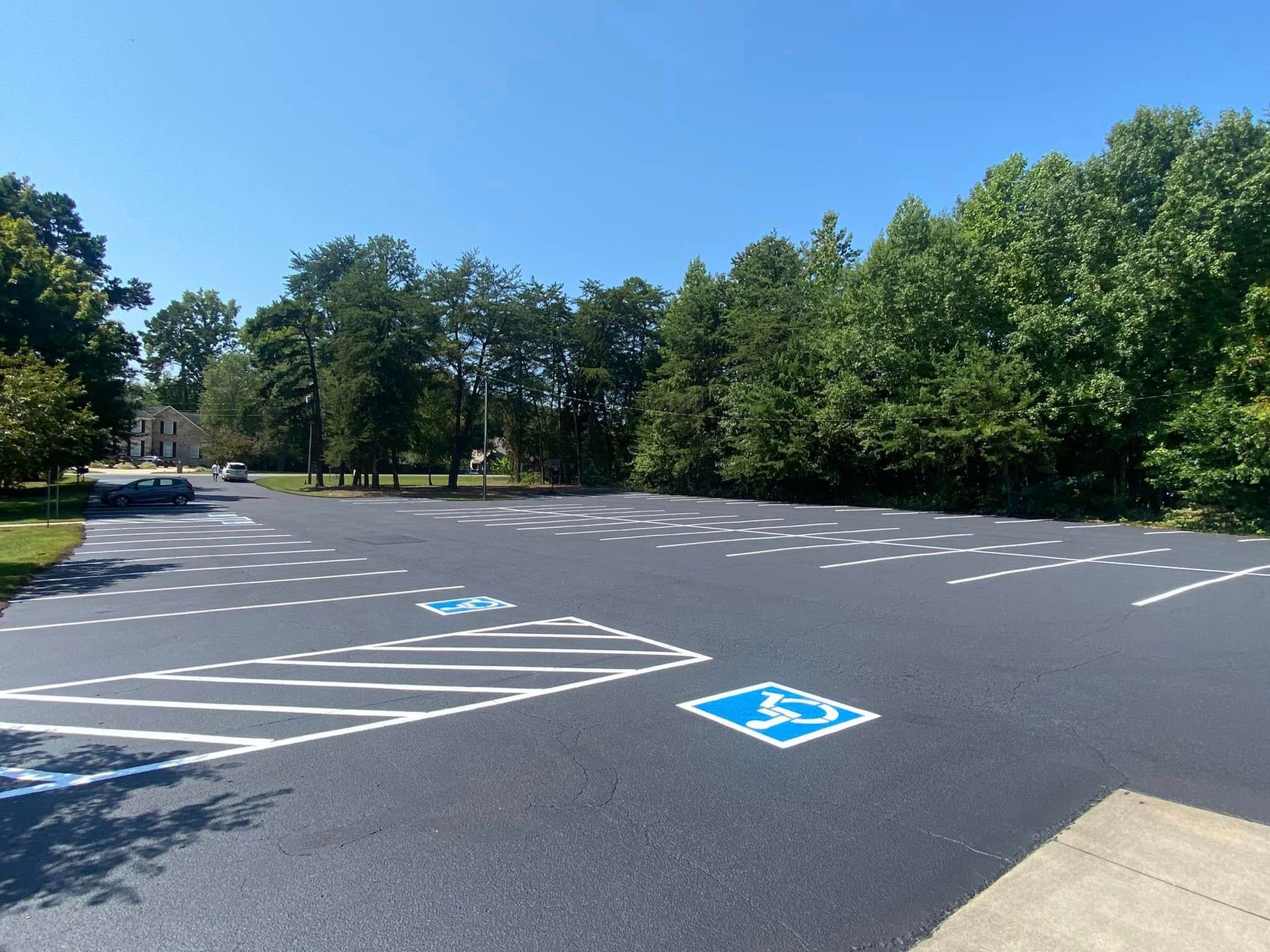 Empty accessible parking lot with blue handicap spaces beside trees under a clear sky