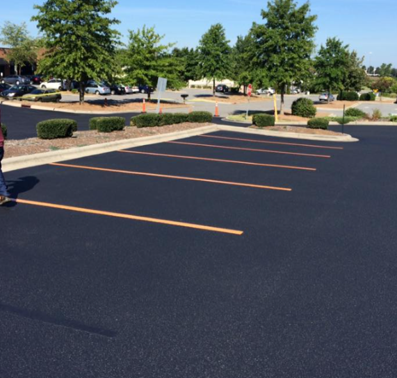 Empty parking lot with fresh dark asphalt and orange parking lines beside trees and shrubs