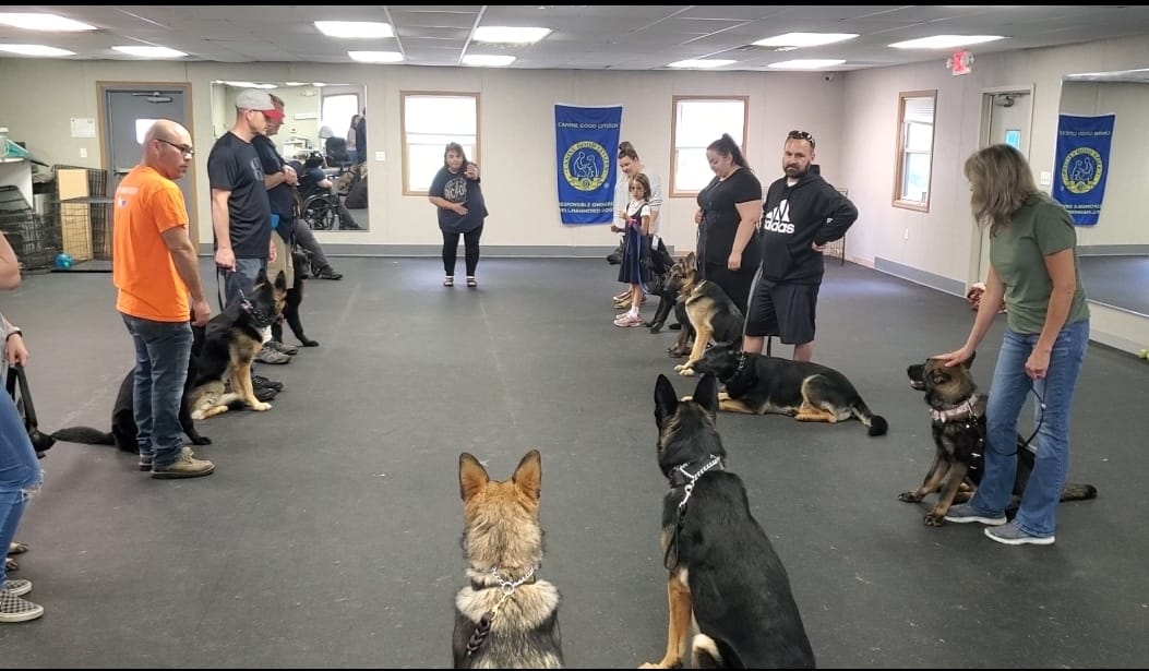 Dog Training Mooresville, IN 3178311869