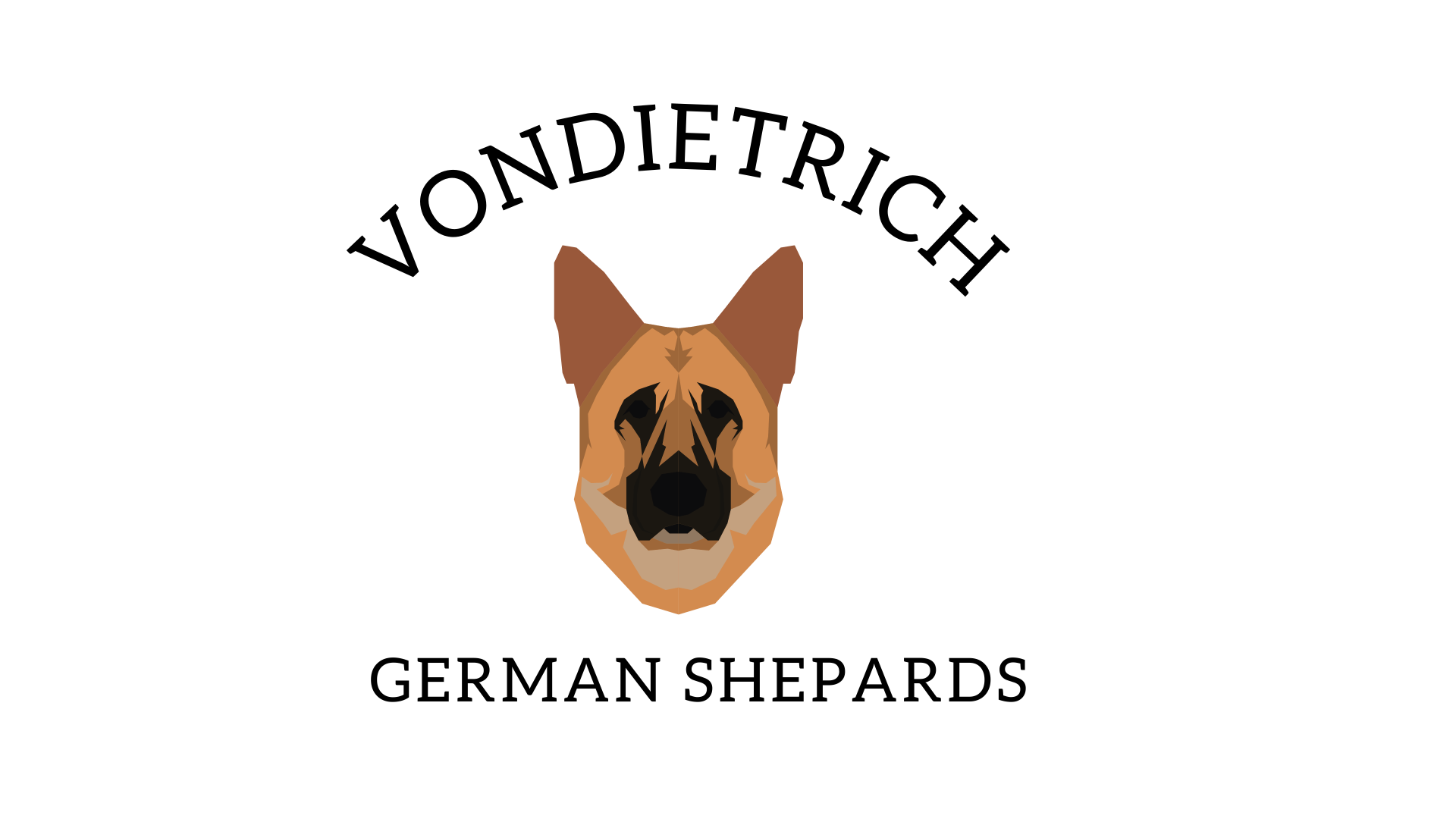 Top 10 Toys for German Shepherds & Their Exercise Needs - Rocky Kanaka