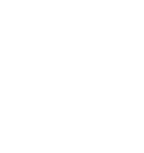 Ron Foley Foundation Logo