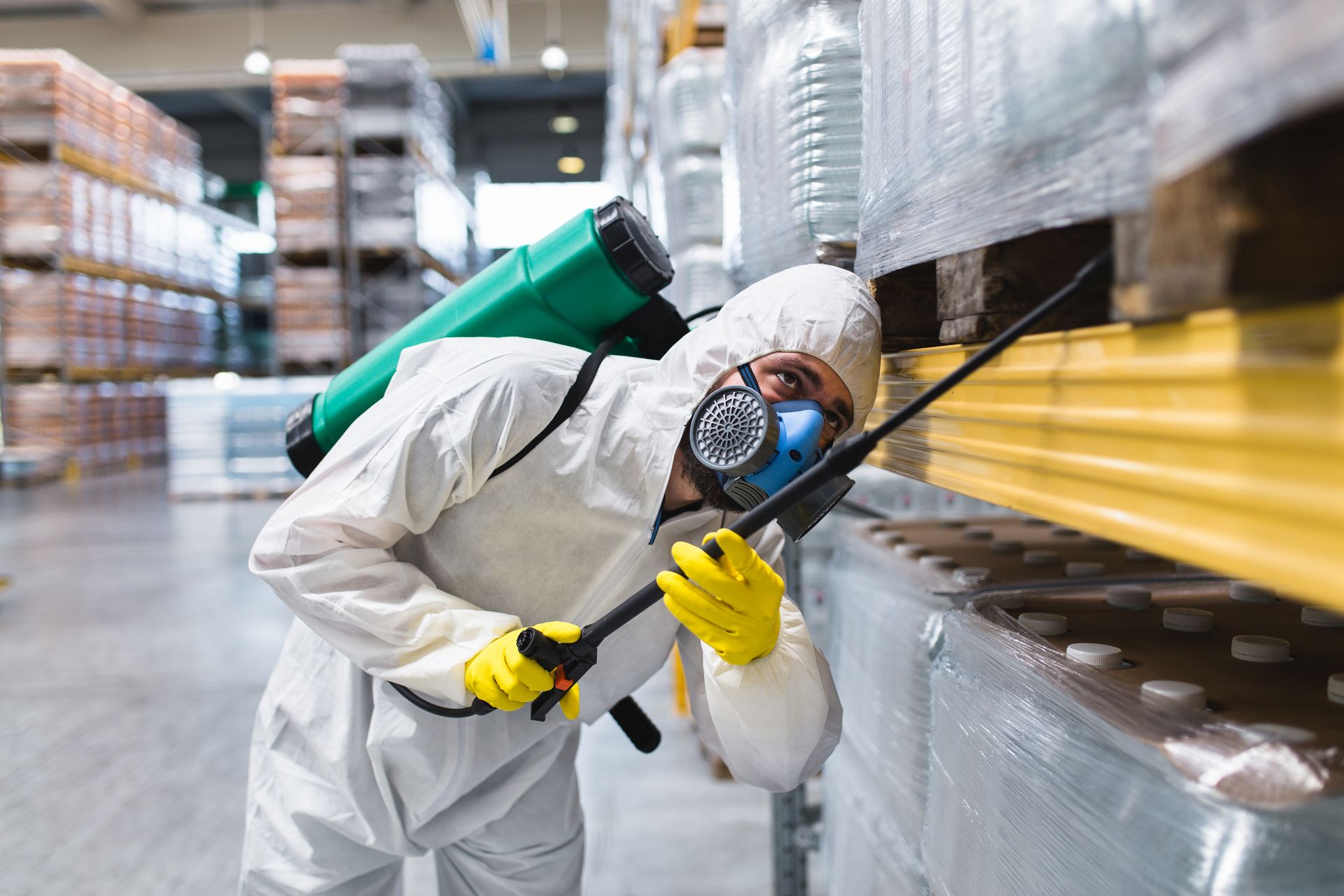 A male worker wearing protective uniform and mask is completing commercial pest control services.