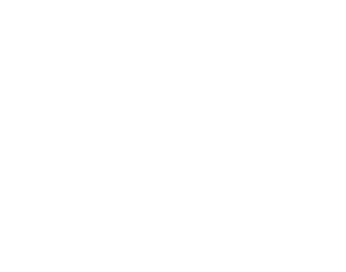 S Brady Ltd Company Logo