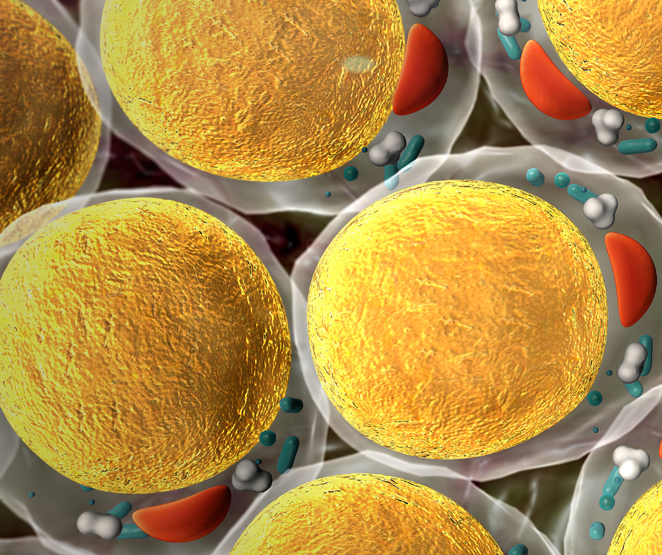 The Weight Loss Clinic | South Dayton Metabolic Center