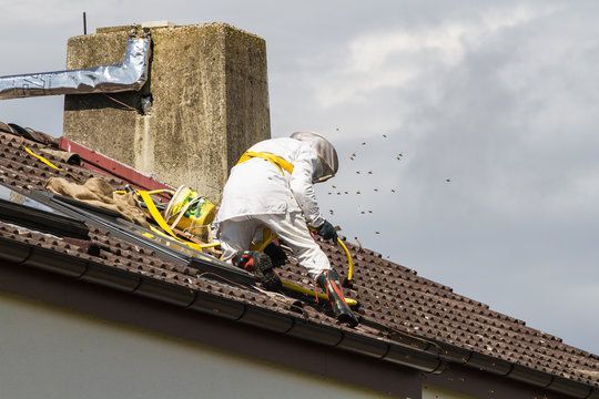Person in protective suit on rooftop removing bees, near chimney.