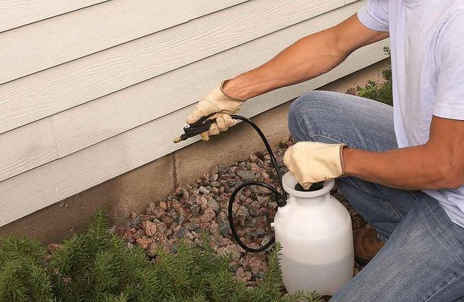 Person spraying pesticide near a house's foundation.