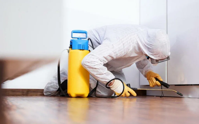 Pest control worker in protective suit sprays insecticide along baseboards in a home.