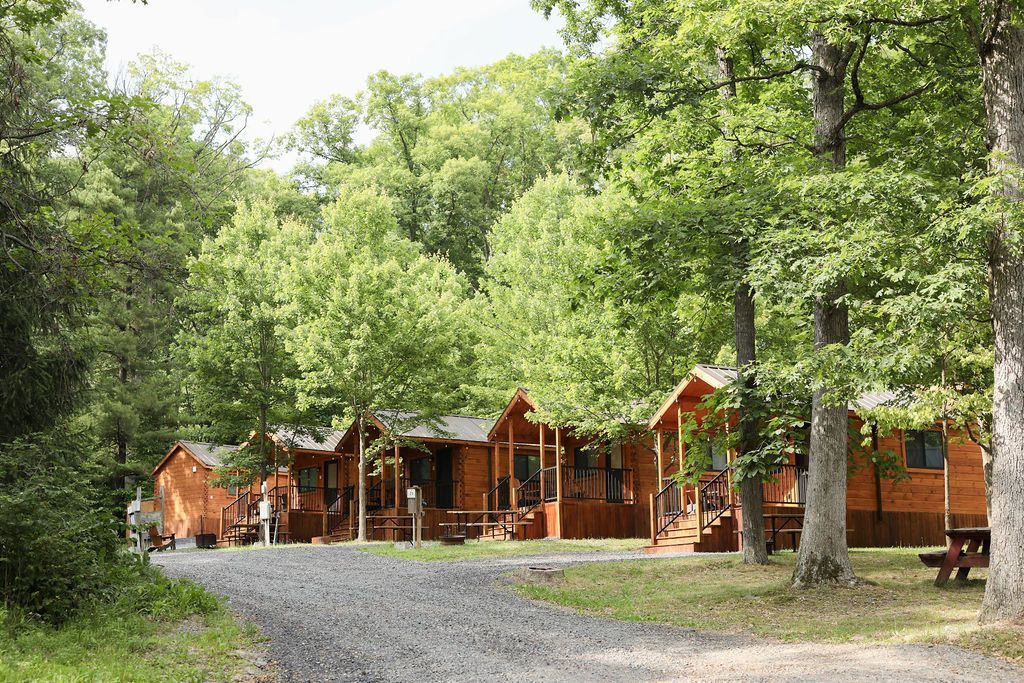 A row of wooden cabins in the middle of a forest.