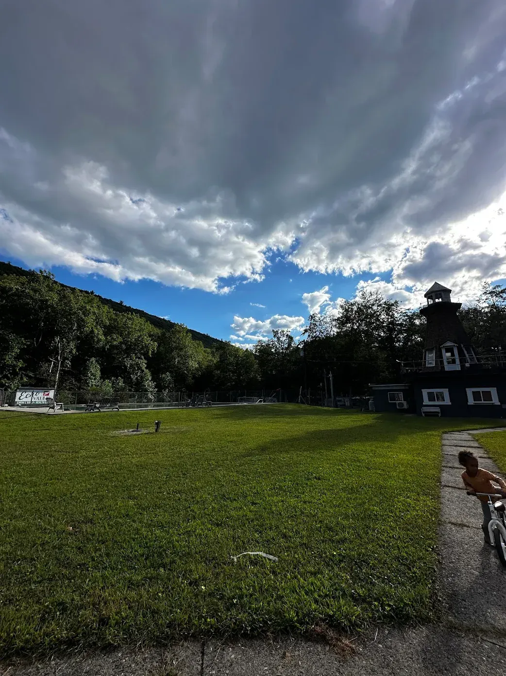 A foggy field with a fence and trees in the background.