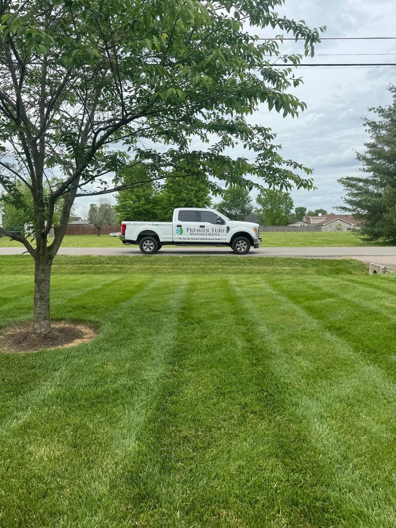White work truck on a grassy lawn near a road, with trees and a cloudy sky in the background.