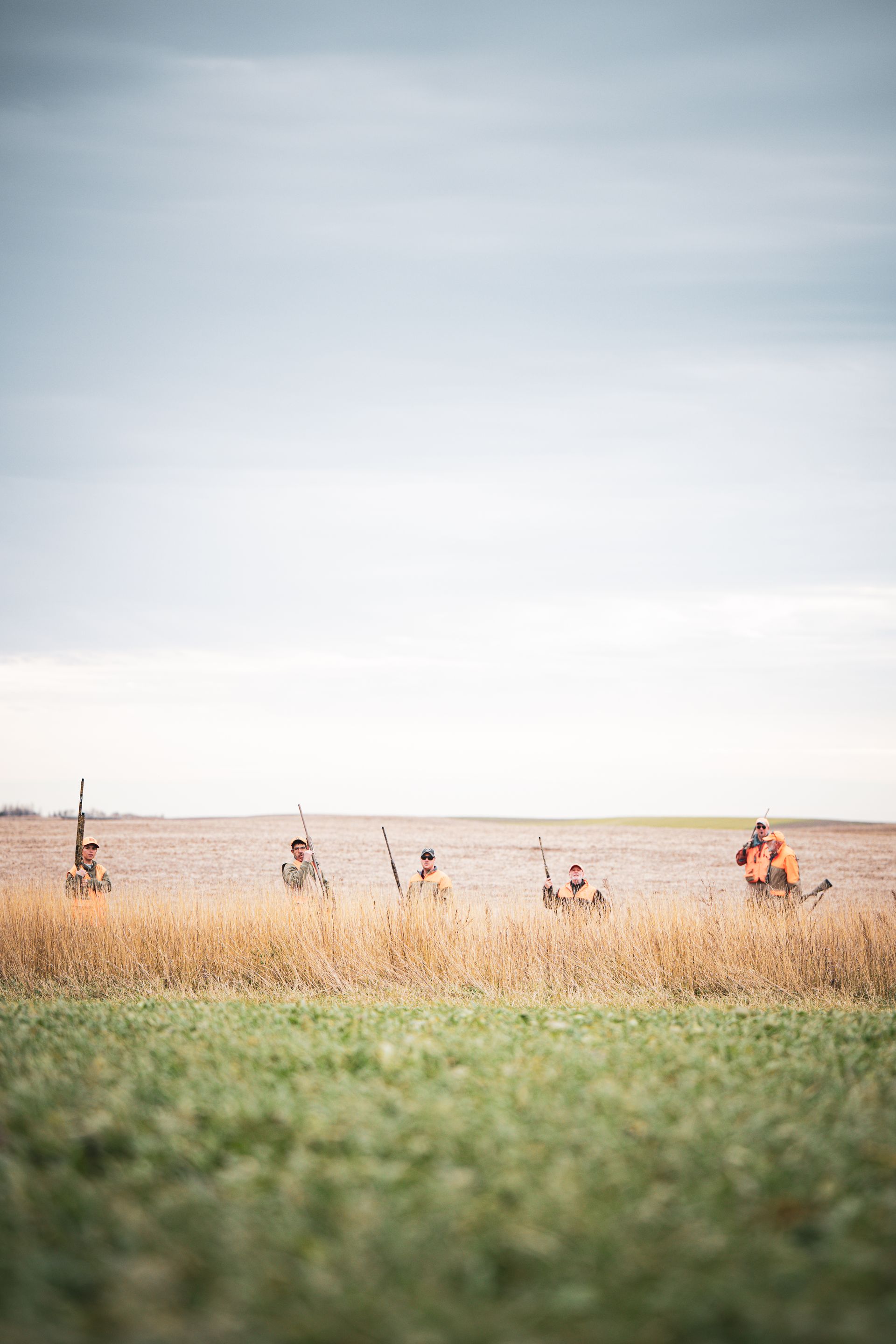 pheasant hunting pic