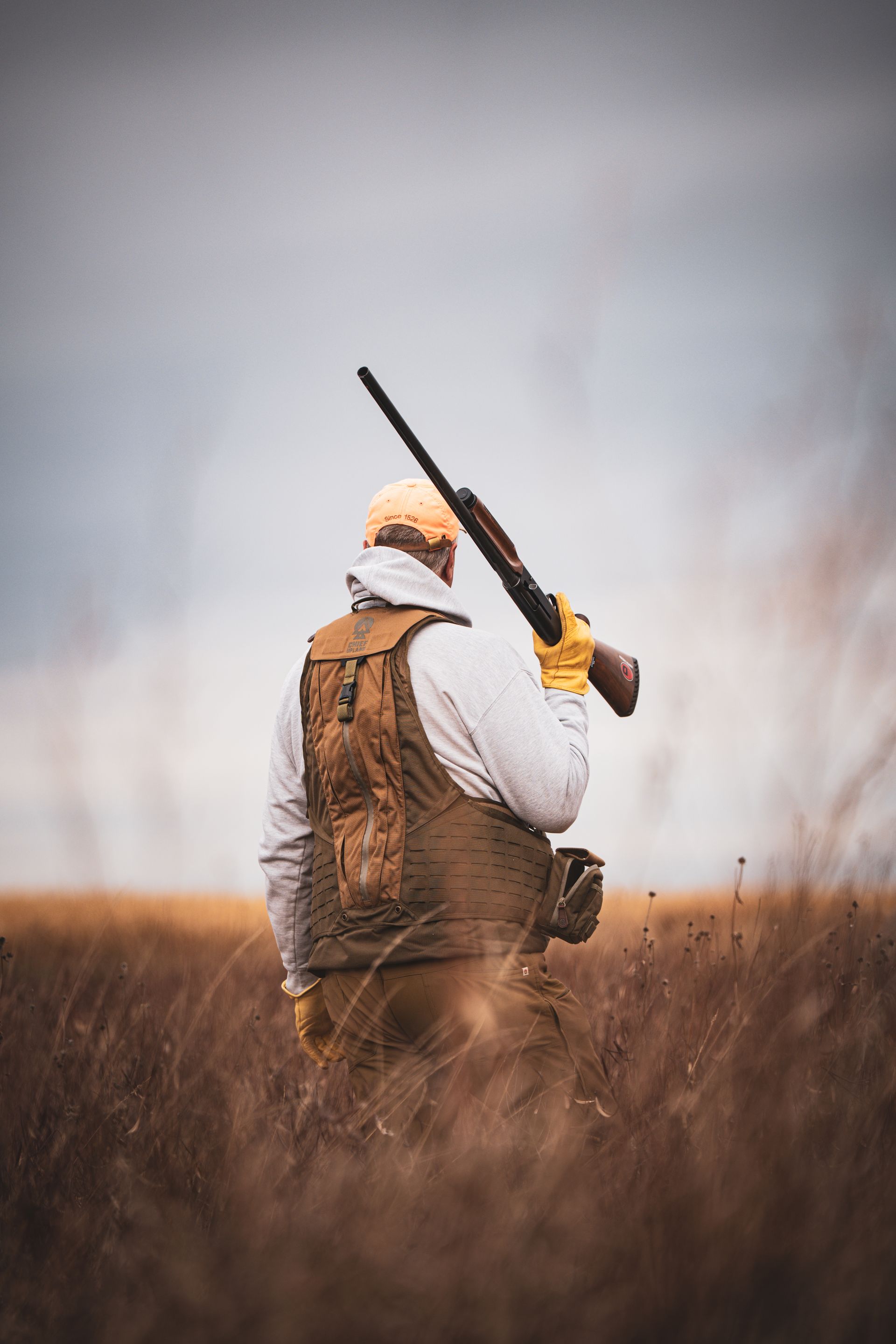 good day for pheasants