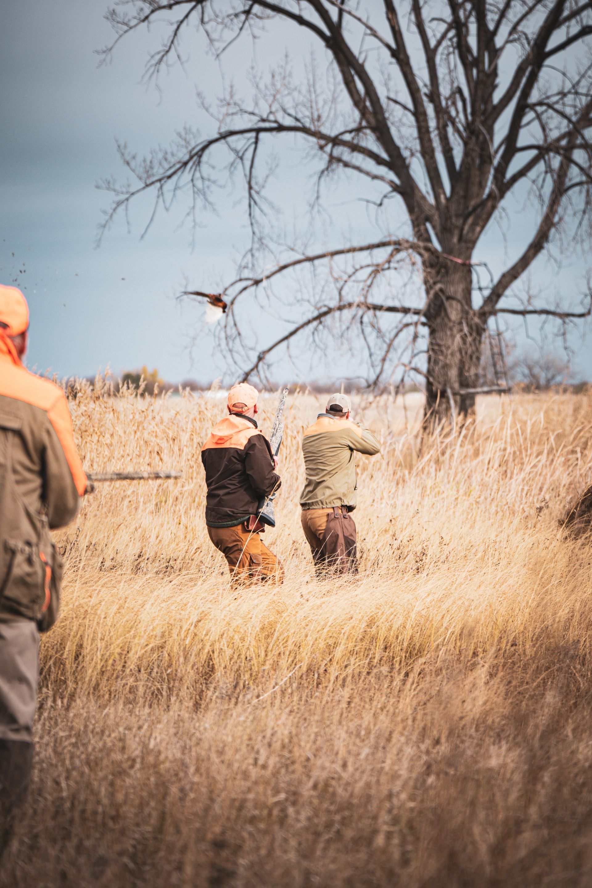 Outfitter for pheasants ND