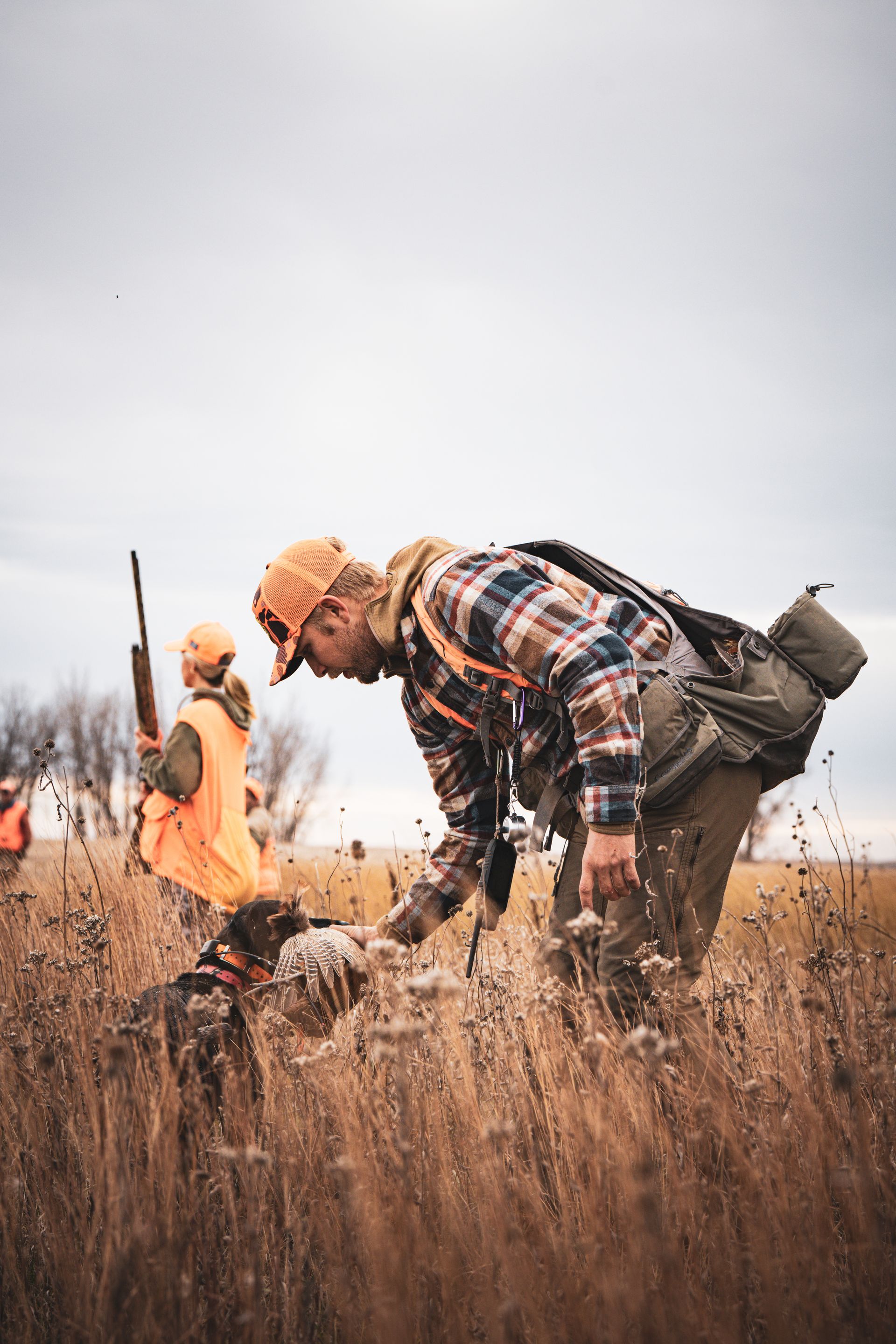 North Dakota Pheasant Hunting Guide