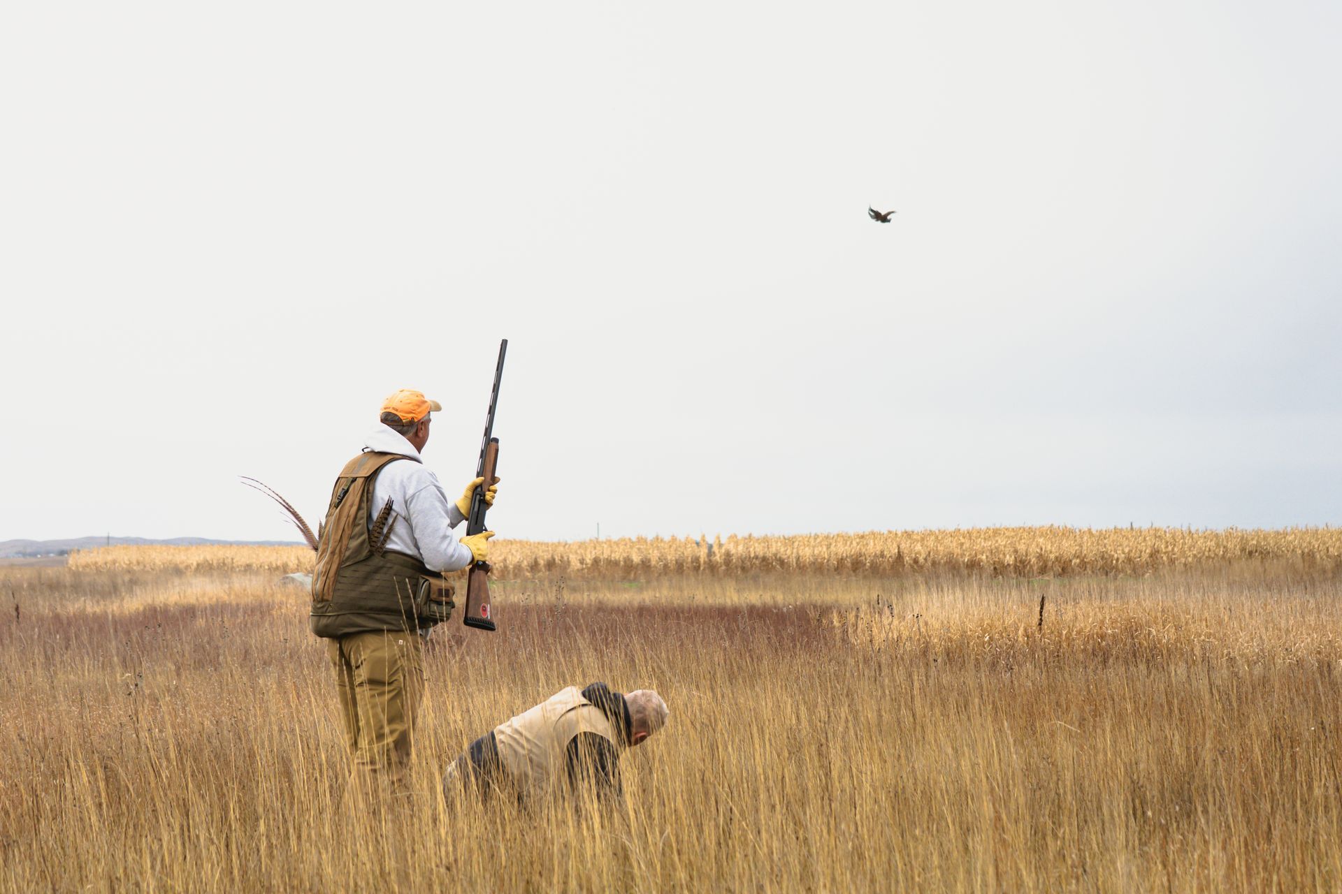 ND pheasant hunting