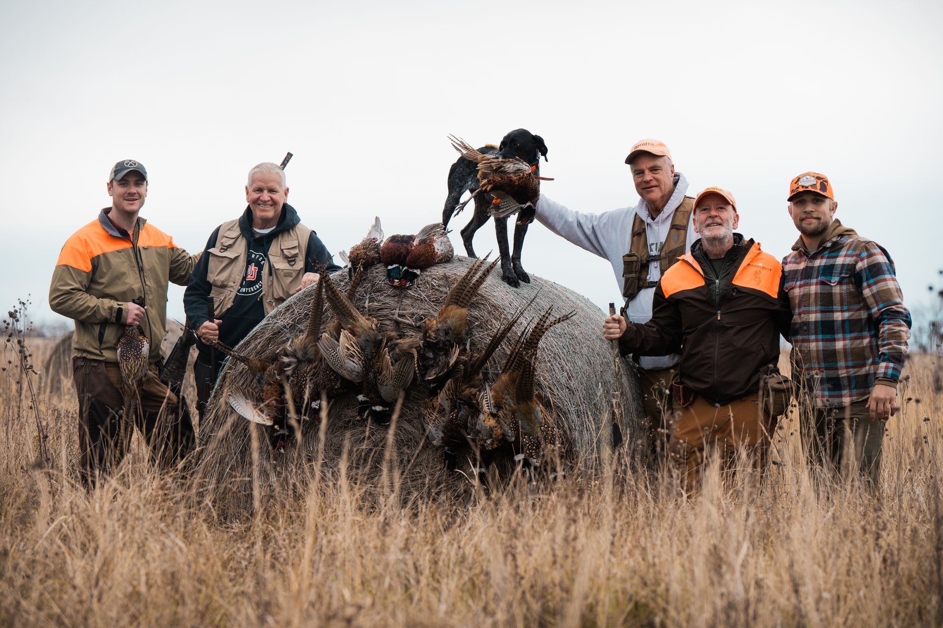 Pheasant Hunting in North Dakota