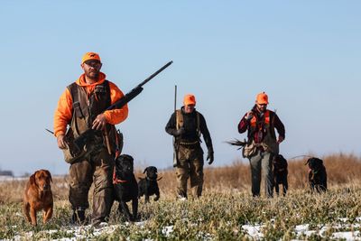 The Ringneck Resort - North Dakota Licensed Hunting Outfitter