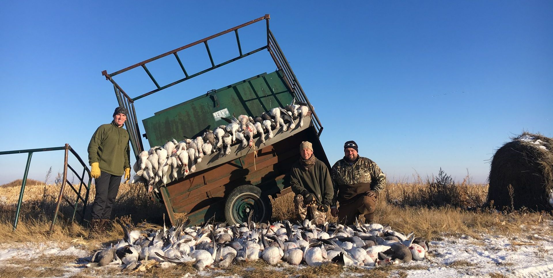 North Dakota snow goose hunts