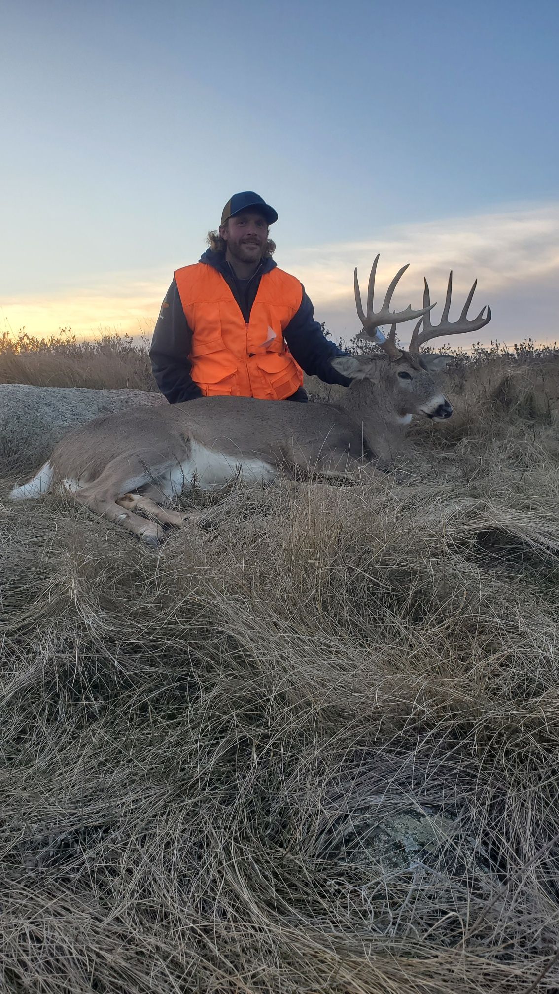 whitetail deer hunts ND