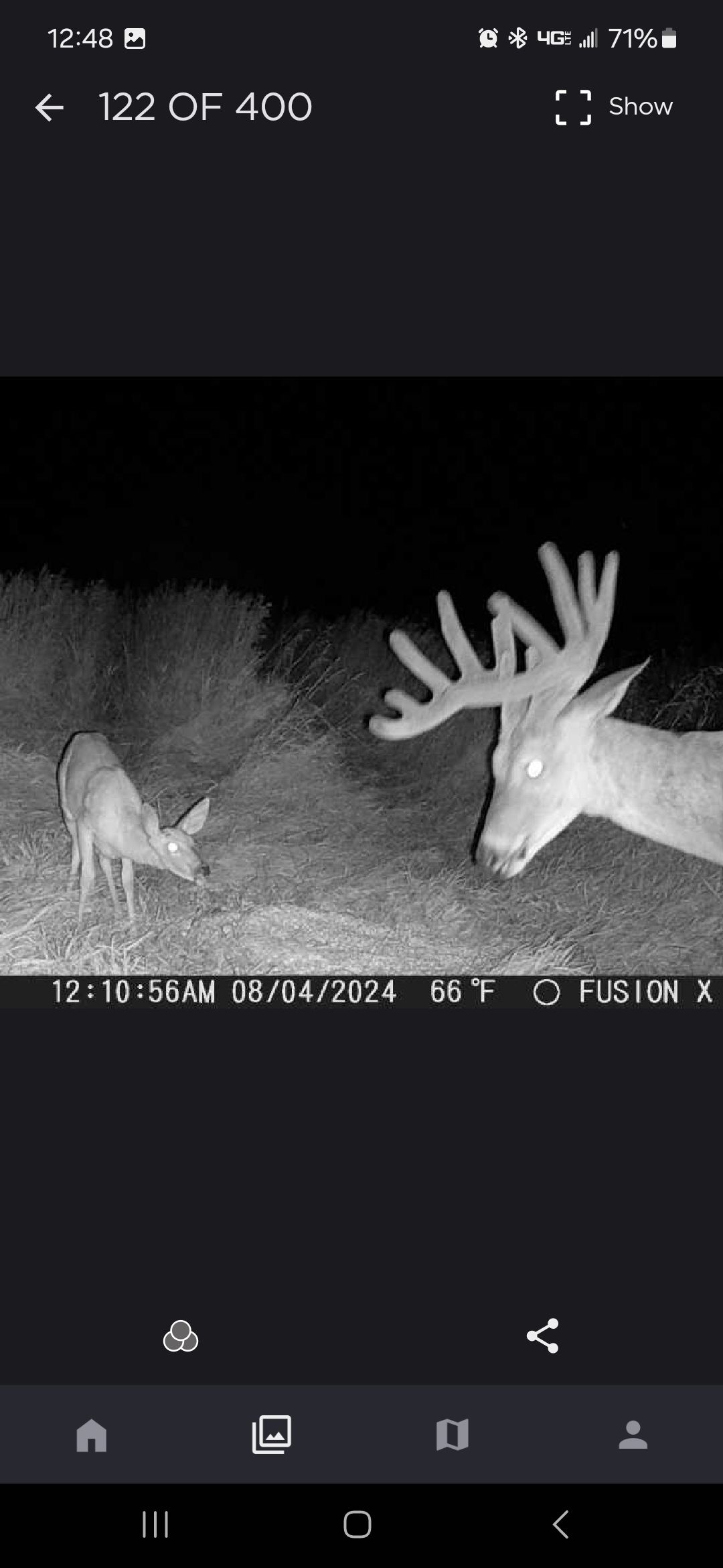 North Dakota deer hunts