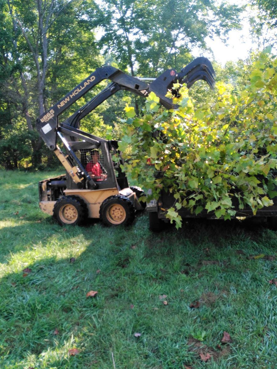 Man on a Small Tractor with Pile of Leaves — Cincinnati, OH — Cincinnati Arbor Services