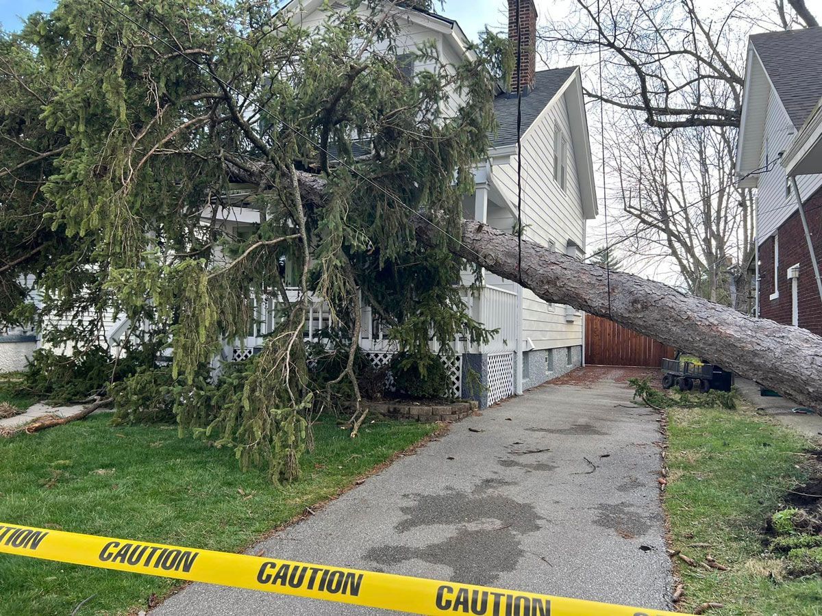 Fallen Tree on the Side of a House — Cincinnati, OH — Cincinnati Arbor Services