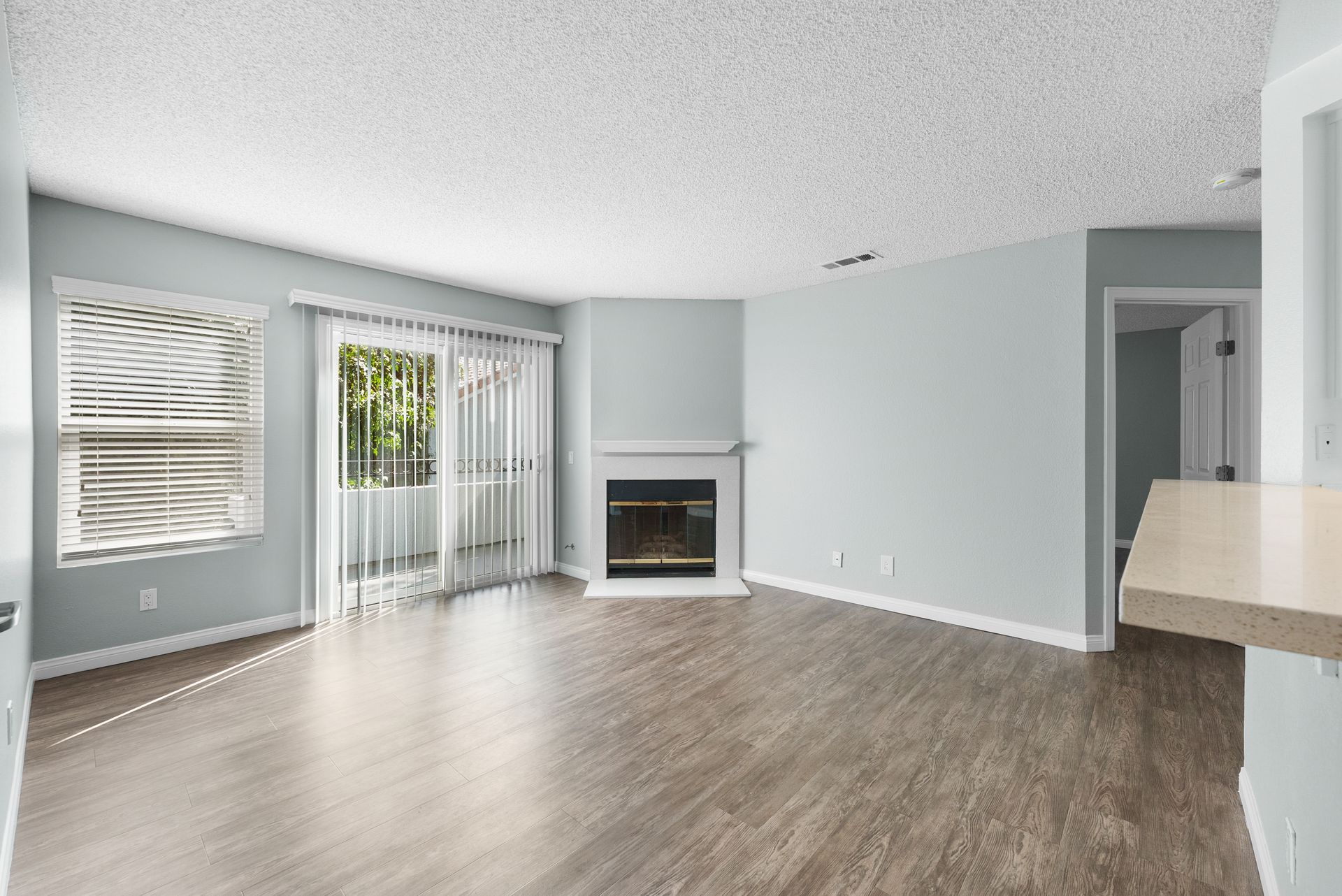 Living room with fireplace