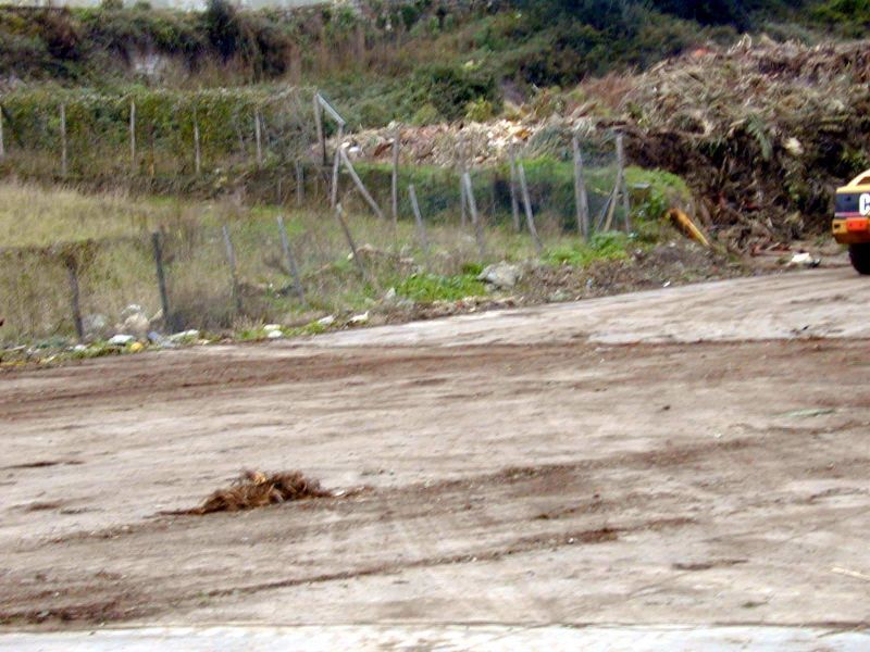 Terreno libero da rifiuti