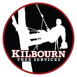 TREE AND CRANE SERVICES IN LANCASTER MASSACHUSETTS