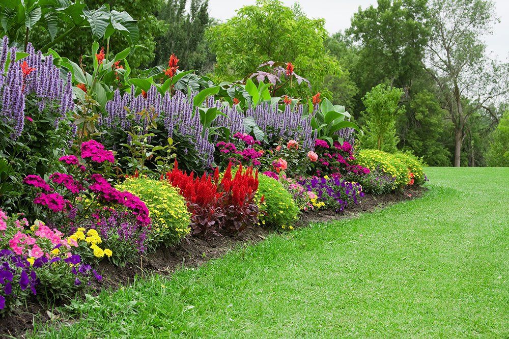 Colorful Flower Garden — Nashua, NH — Lone Wolf Landscaping, LLC
