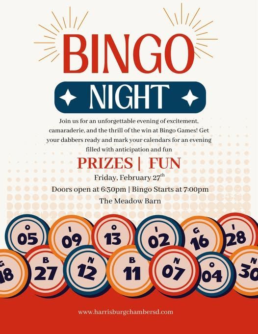 Poster for a Bingo Night event: Prizes and fun. February 17th at The Meadow Barn.