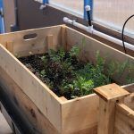 A wooden box filled with plants is sitting on a table.