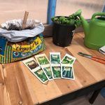A wooden table with a bag of seeds , a watering can , and a potted plant.