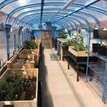 A greenhouse filled with lots of potted plants and tables.