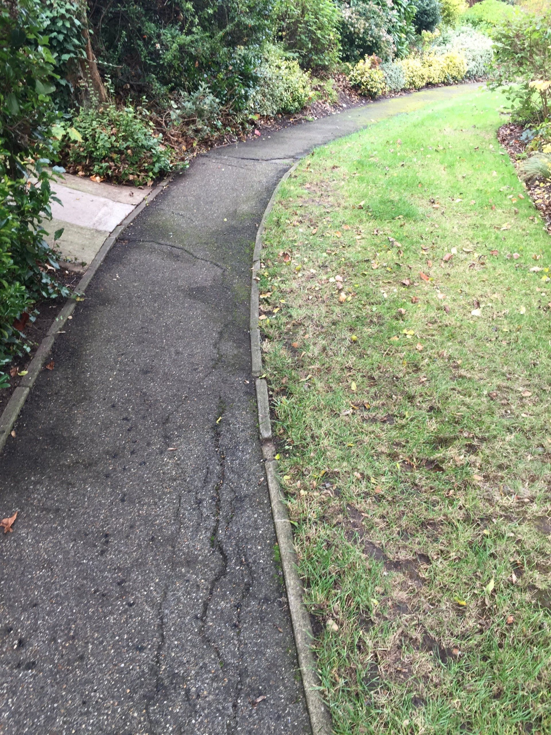 Braybank pathway - before