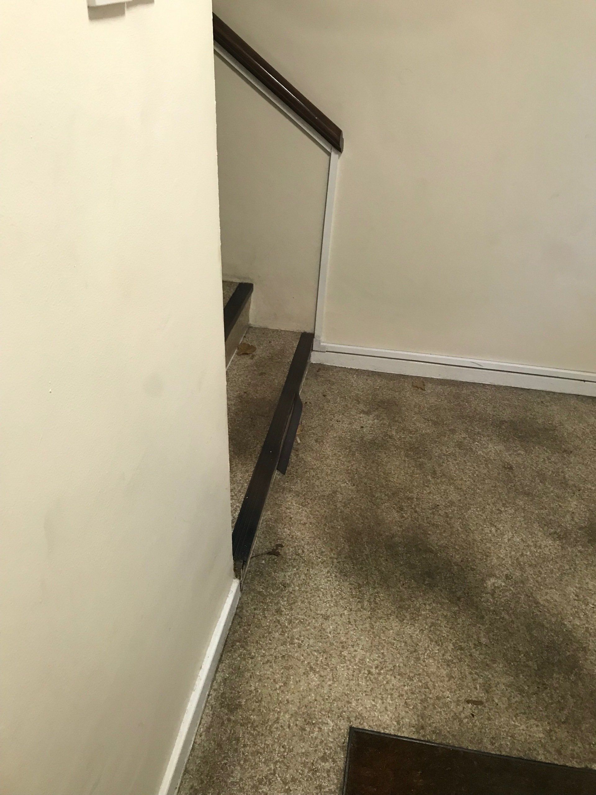 Mulberry Court stairway - before