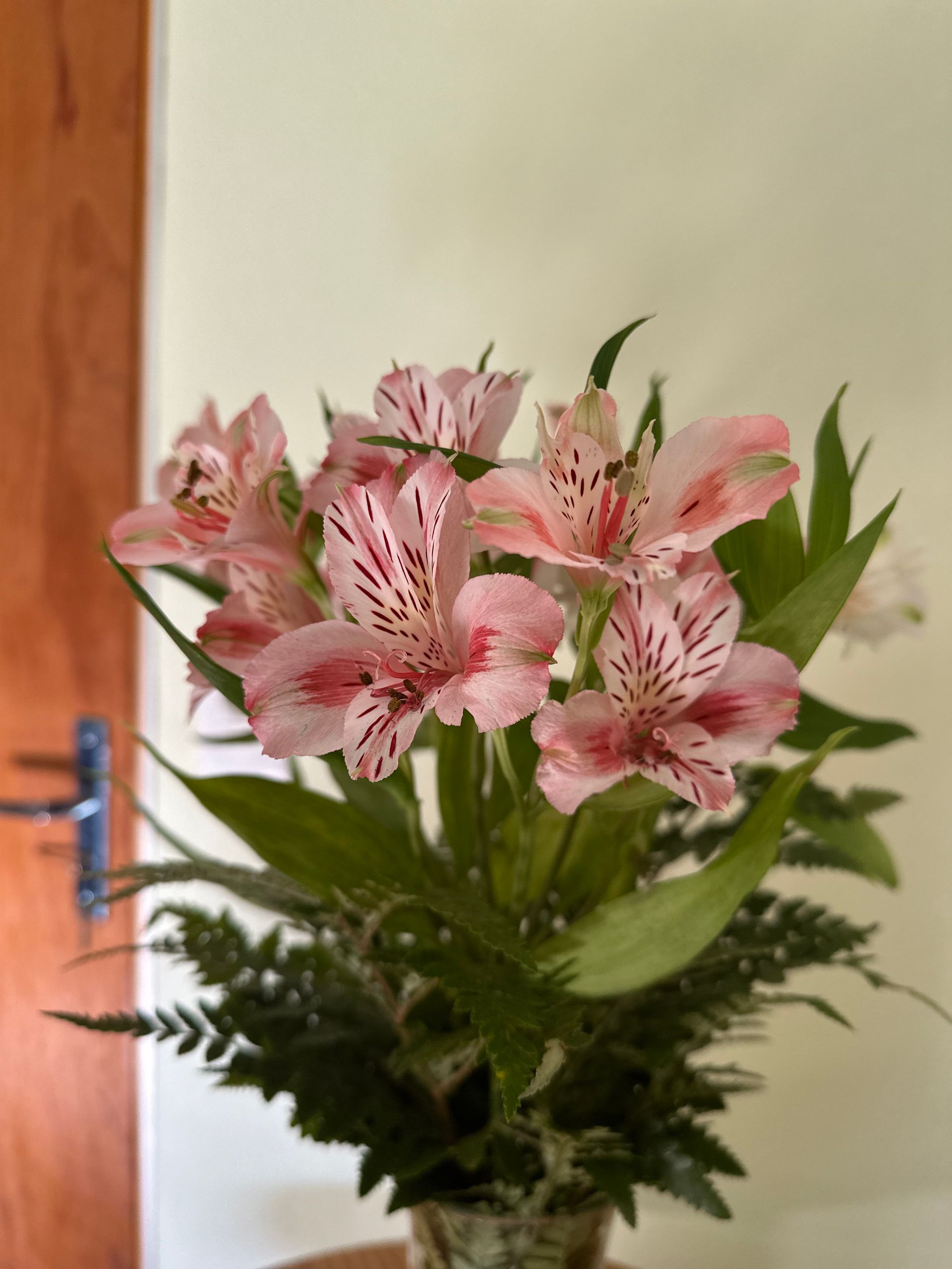 Residencial Bonsejour