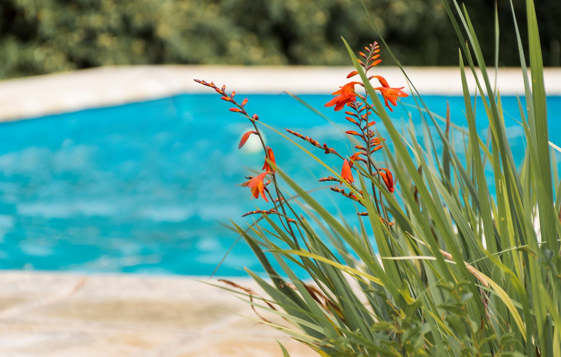 Residencial Bonsejour