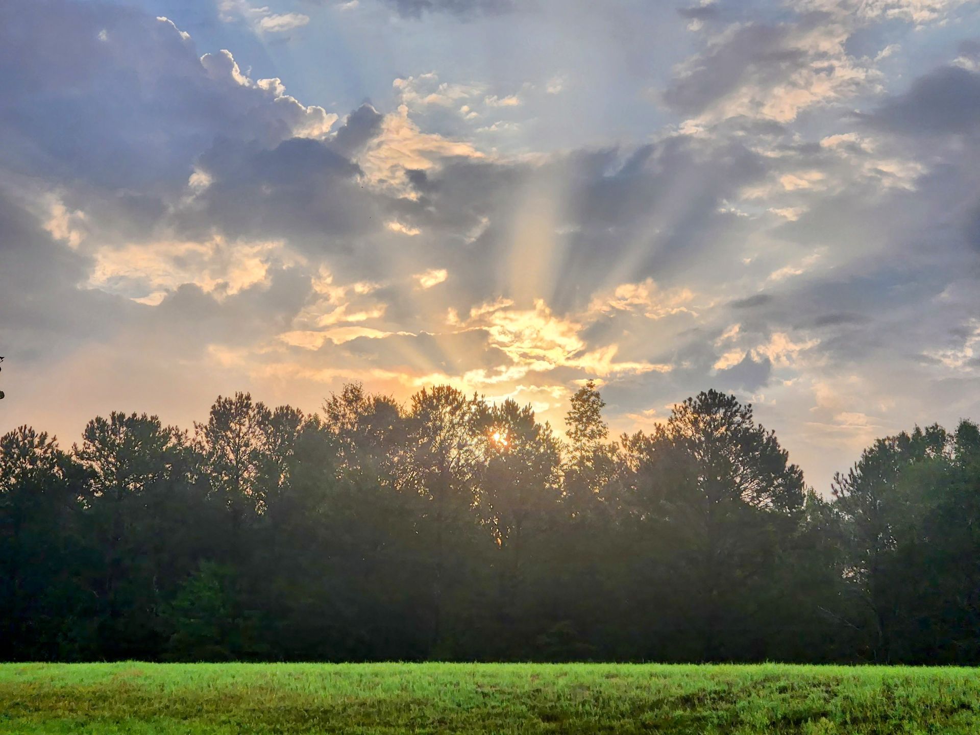 Sunbeams breaking through clouds above a treeline, casting light on a green field.