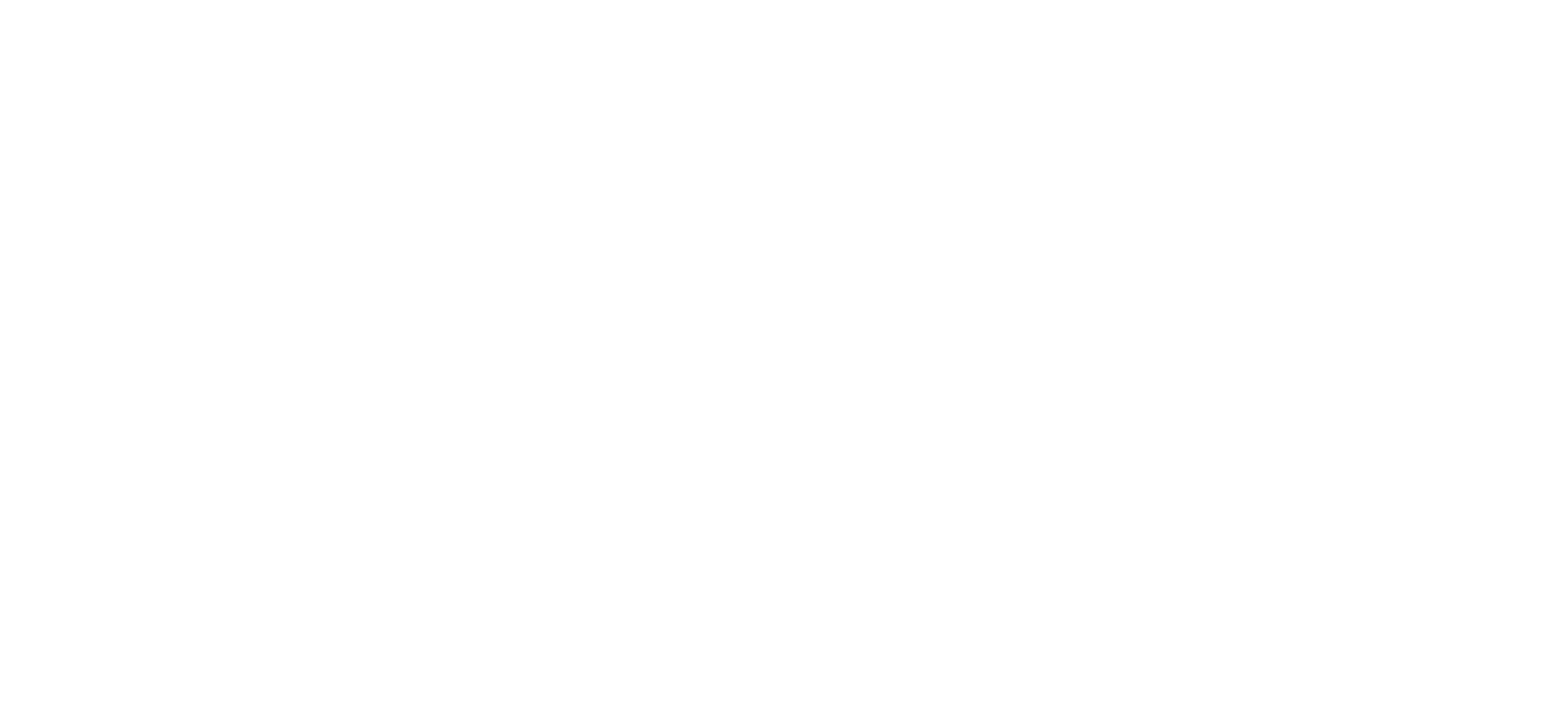 logo-image