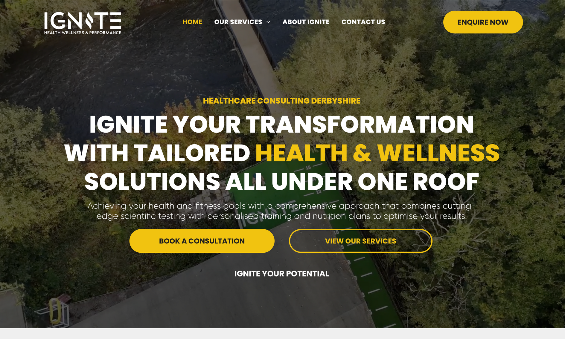 Ignite Website Design