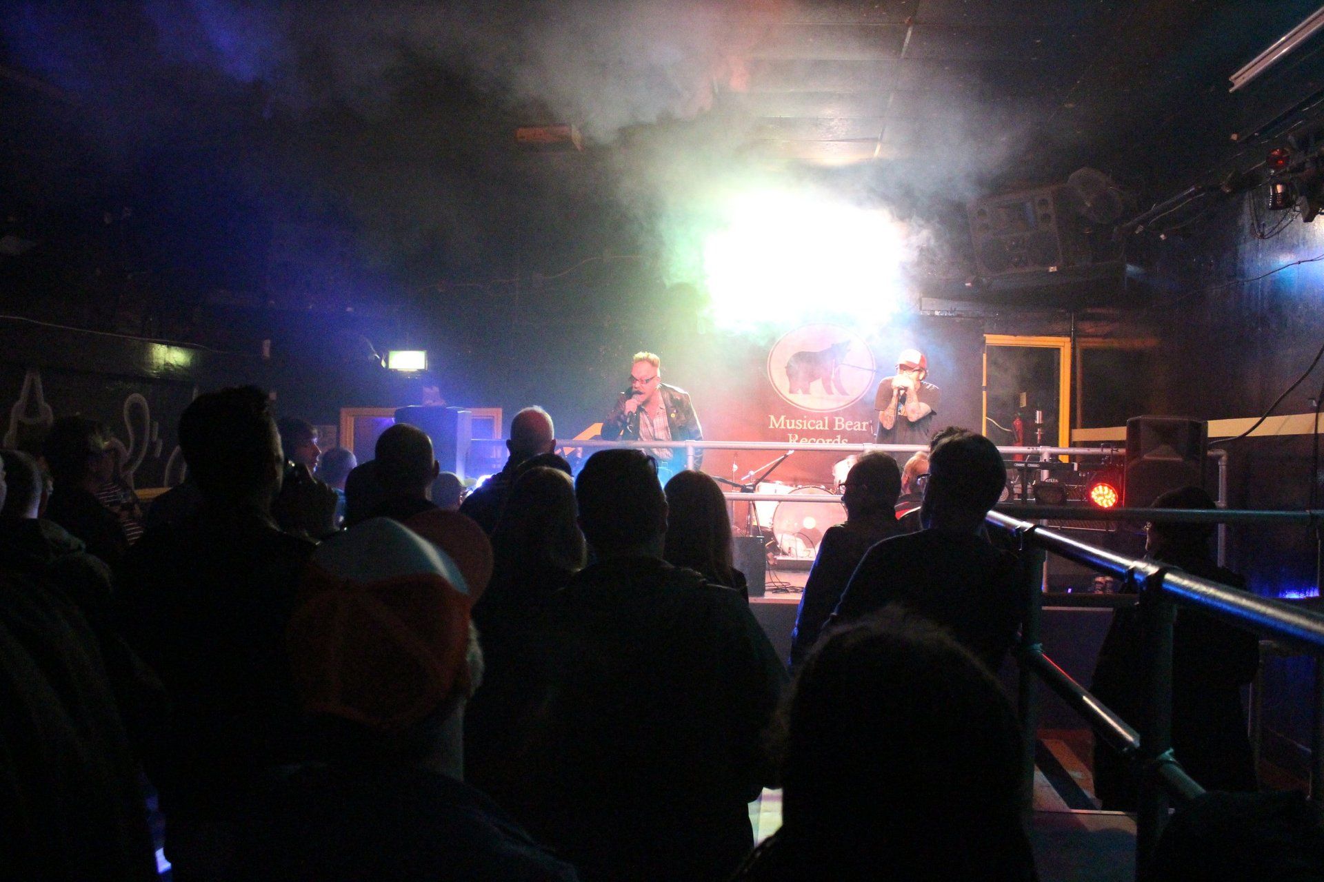 A group of people are standing in front of a stage at a concert.
