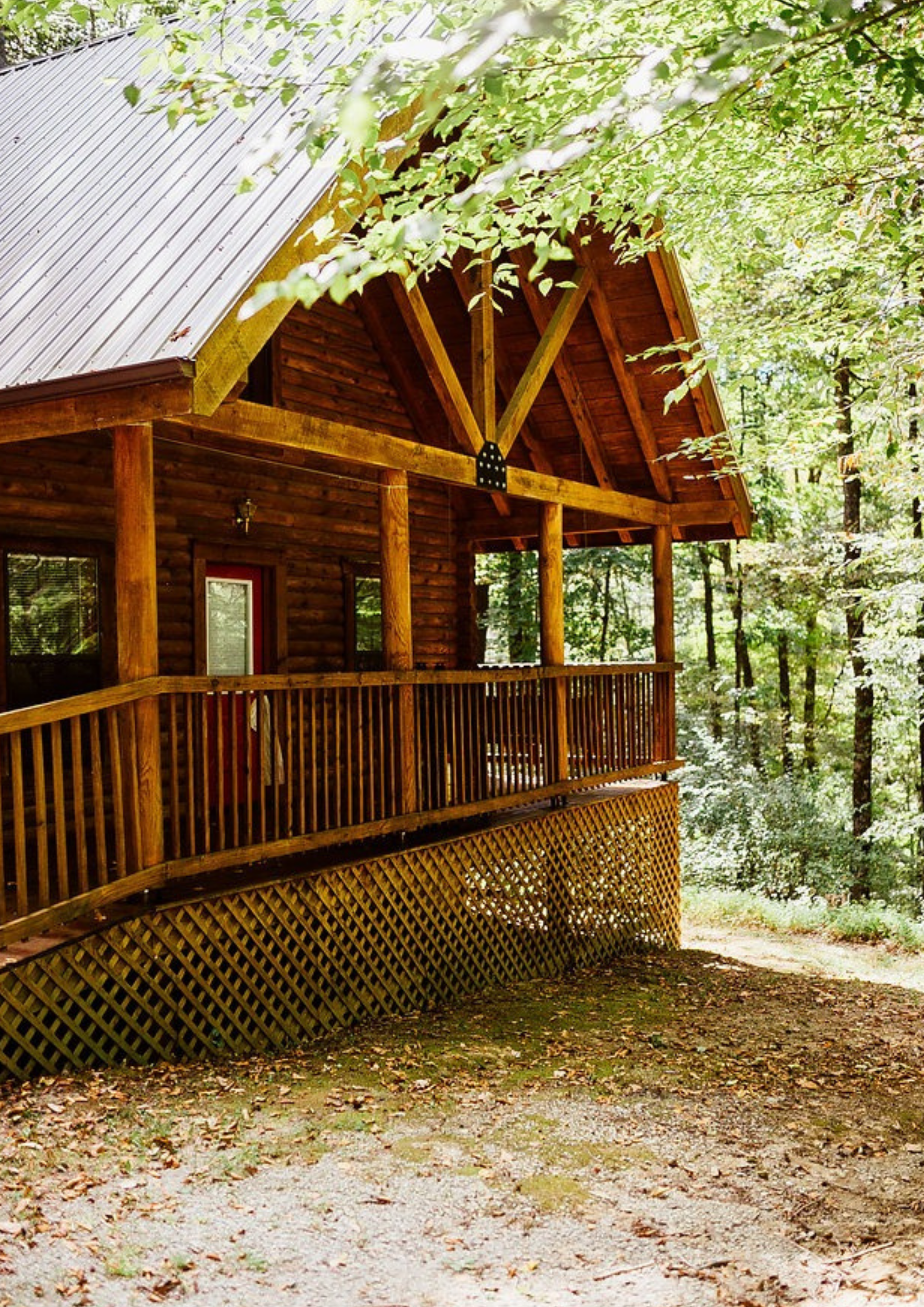 Wooden cabin with porch nestled in a forest, brown building with metal roof.