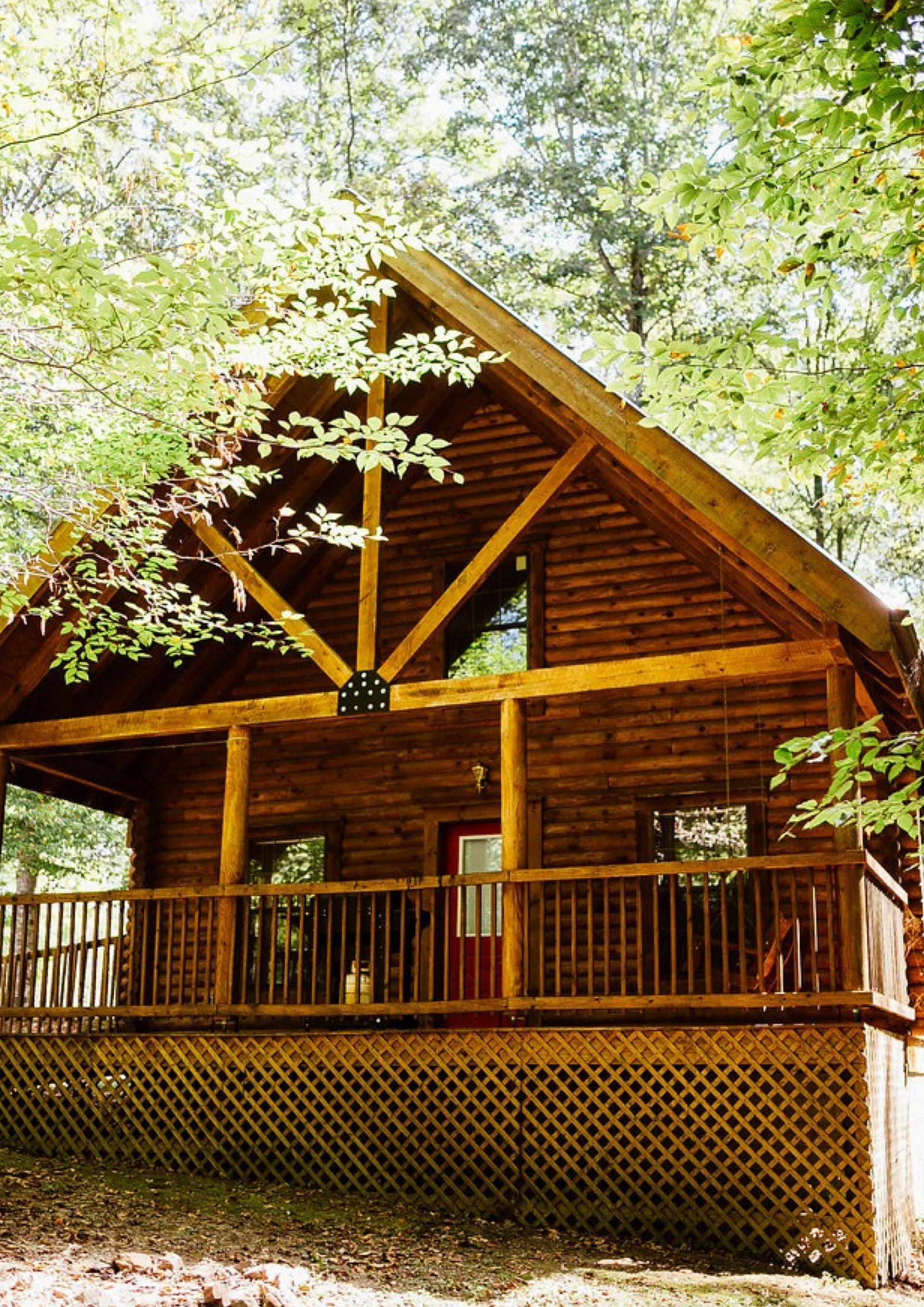 Log cabin with a porch, in a wooded setting. Wooden structure with red door and green foliage.