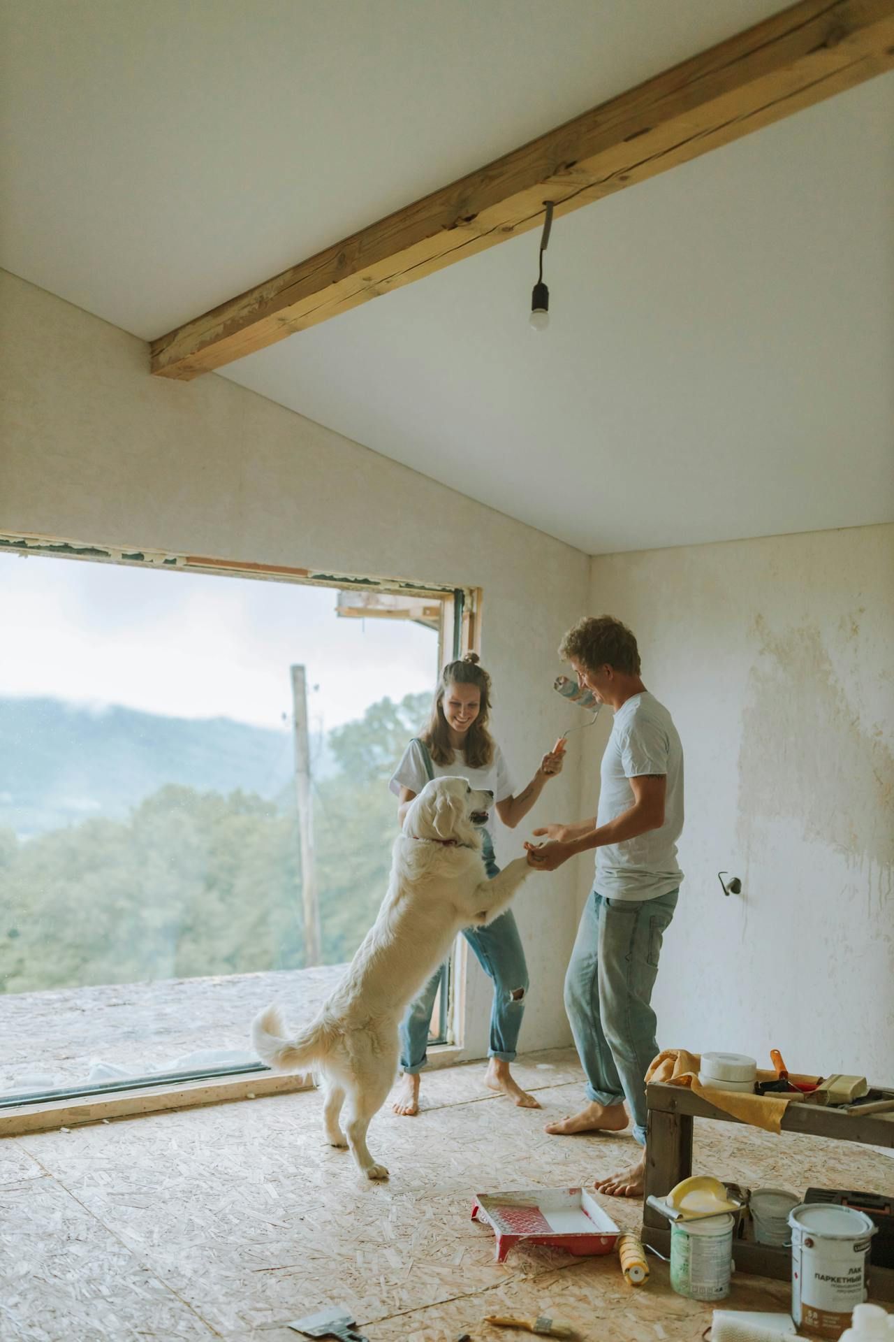 A man and a woman are playing with a dog in a room.