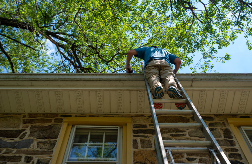 A man is standing on a ladder on the roof of a house.