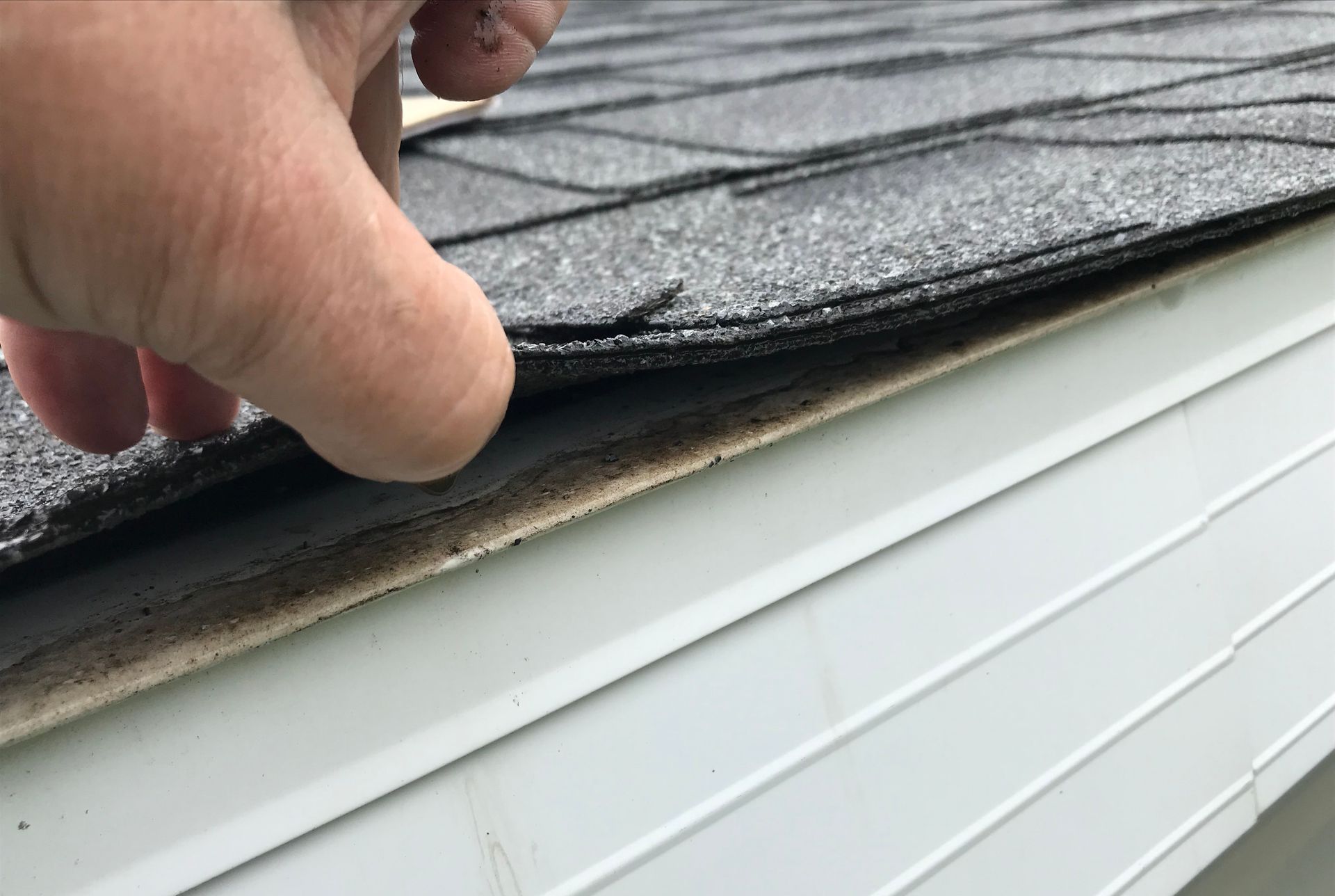 A person is holding a piece of shingle on the side of a house.