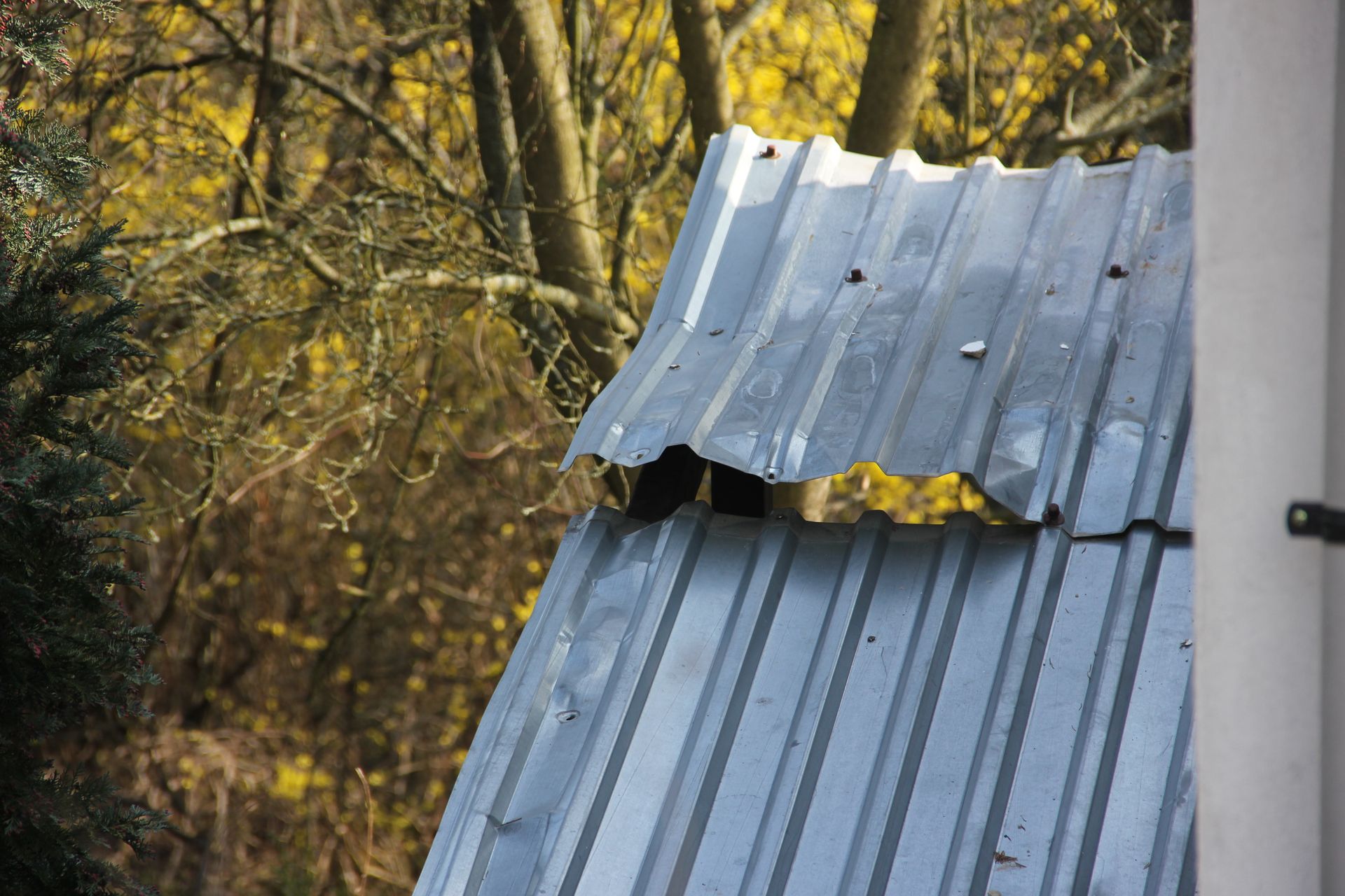 A cat is sitting on top of a metal roof.