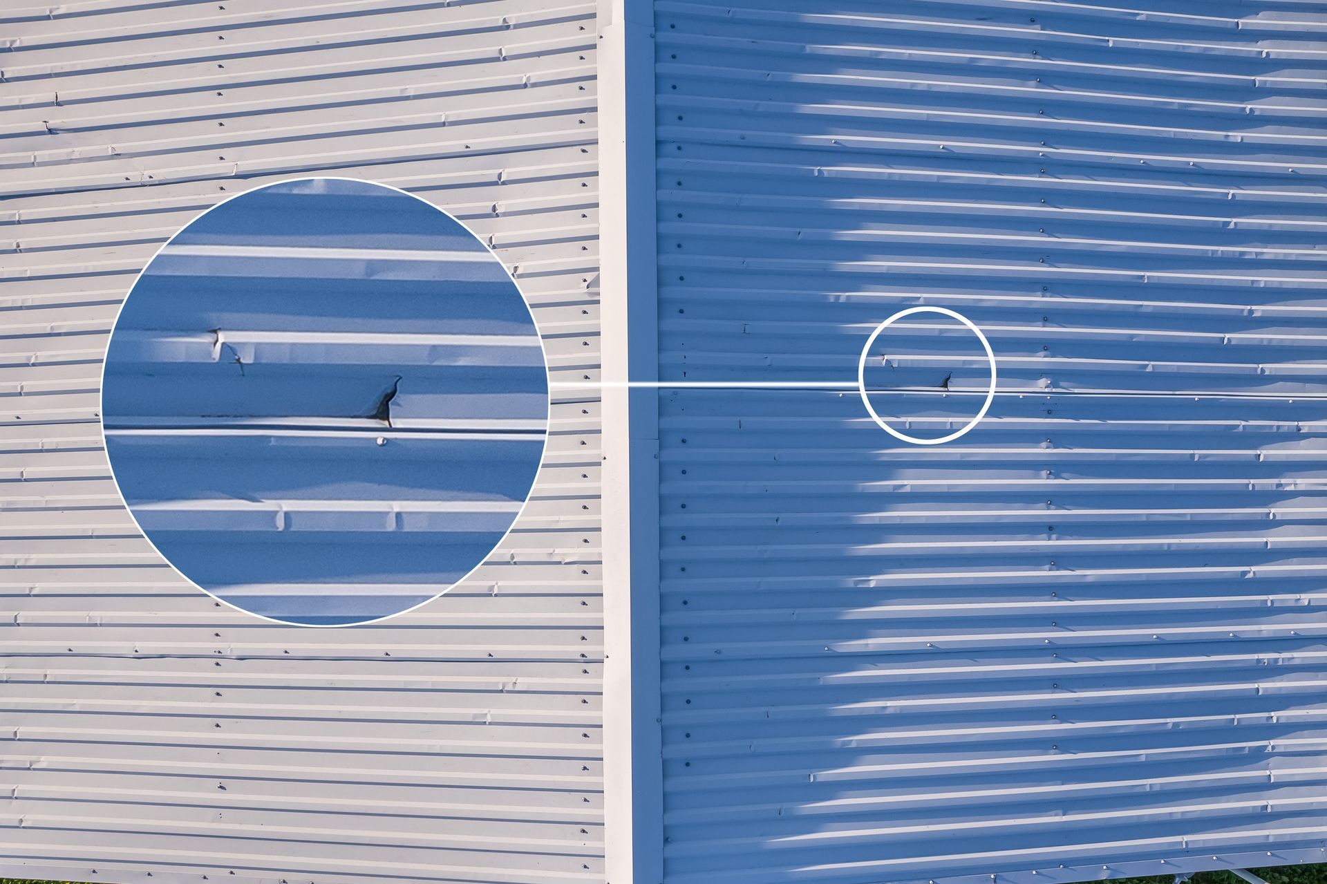 A bird is flying over a white building with a blue sky in the background.